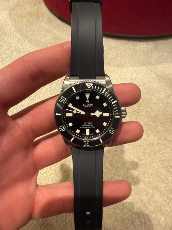 Tudor Pelagos 25407N